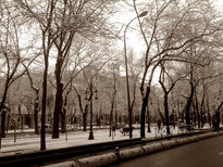 Frio