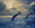 DELFINES  AL  OCASO