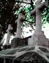 cruces