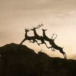 Mexico Lindo thumbnail 1