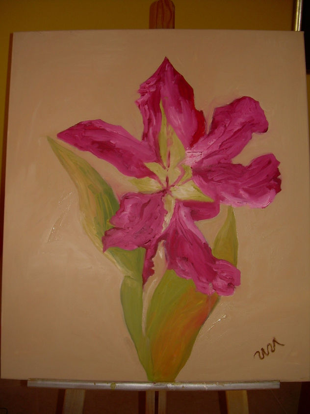 tulipan