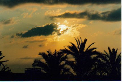 Amanecer con palmeras