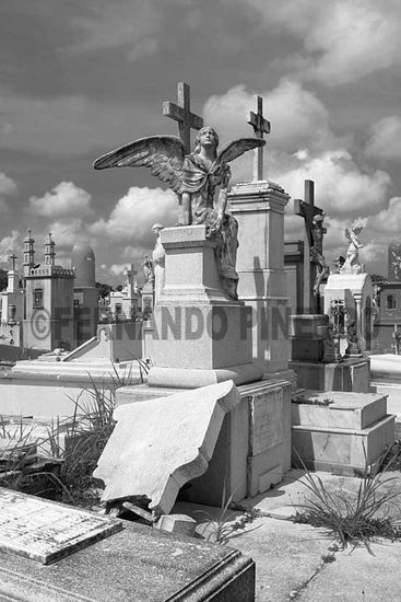 Cementerio IV Other Themes Black and White (Digital)