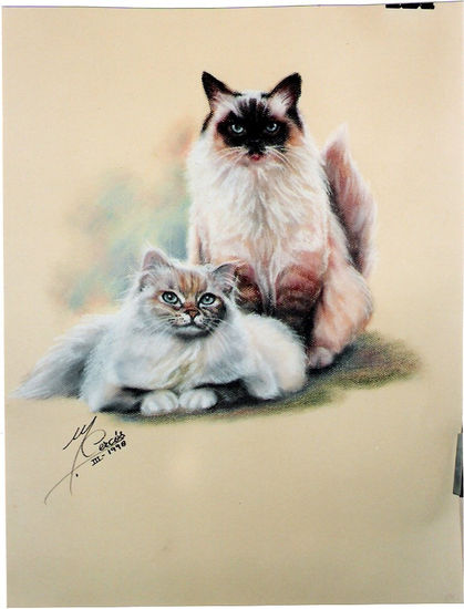 Sagrados de Birmania Pastel Papel Animales