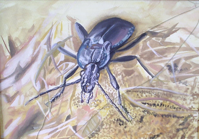 El escarabajo luchando contra los elementos-Carabus Acuarela Cartulina Animales