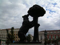 oso y madroño