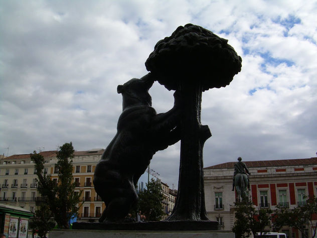 oso y madroño