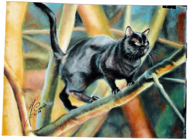 Gato negro Pastel Papel Animales