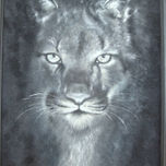 FELINOS thumbnail 1