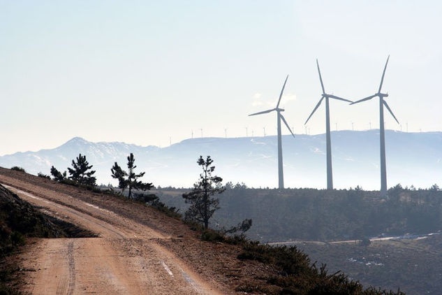 Molinos al viento 