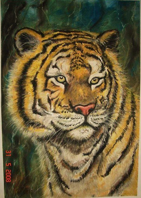tigre