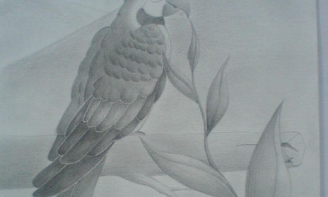 Animales