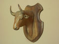 cabeza te toro bravo