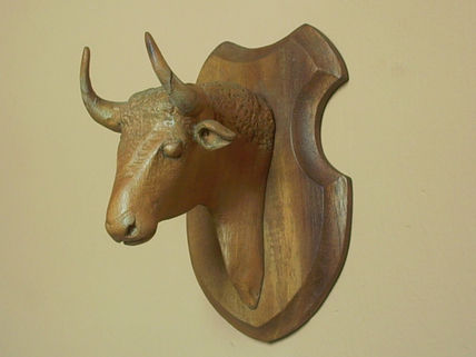 Cabeza te toro bravo