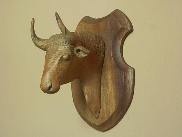 cabeza te toro bravo
