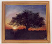OCASO