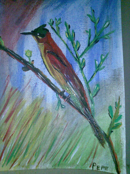 Pajarillo