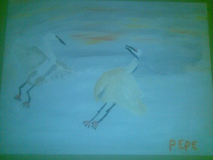 Gaviotas enamoradas