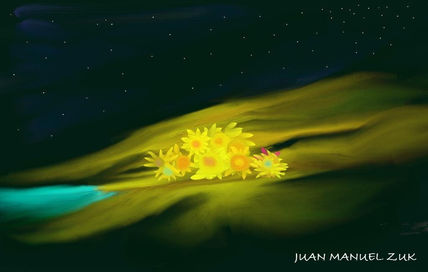 Flores nocturnas