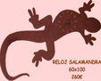 RELOJ SALAMANDRA