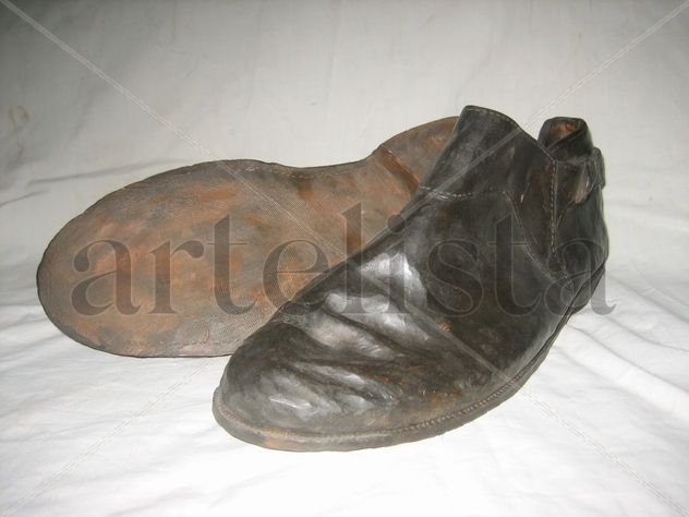 botines cortos