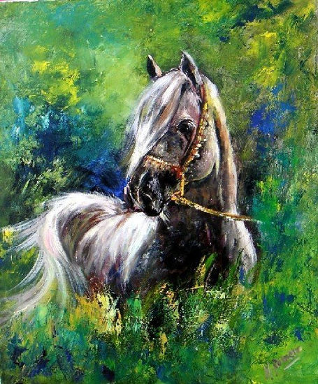 Caballo ! Oil Canvas Animals