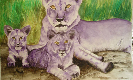 animales leones