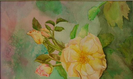 flores