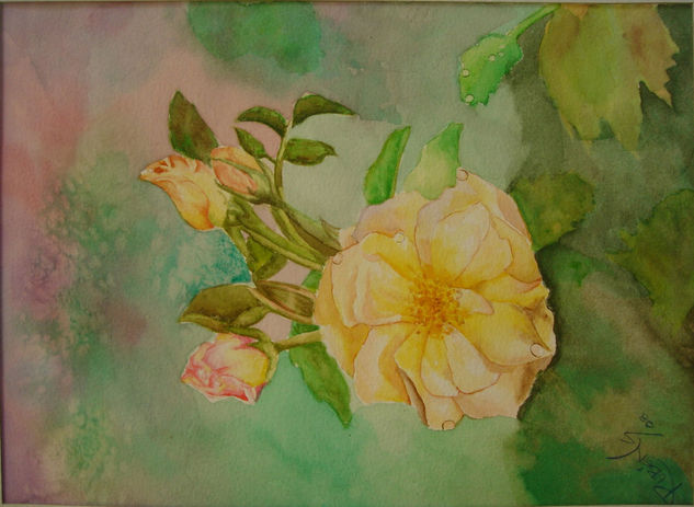 Rositas Watercolour Paper Landscaping