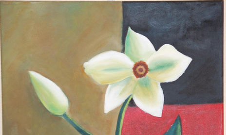 Flores