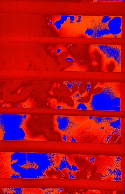 Entre rejas en rojos