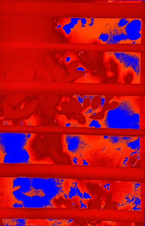 Entre rejas en rojos