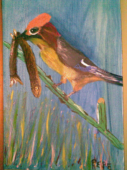 Pajaro pescador