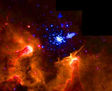 YOUNG STAR CLUSTER