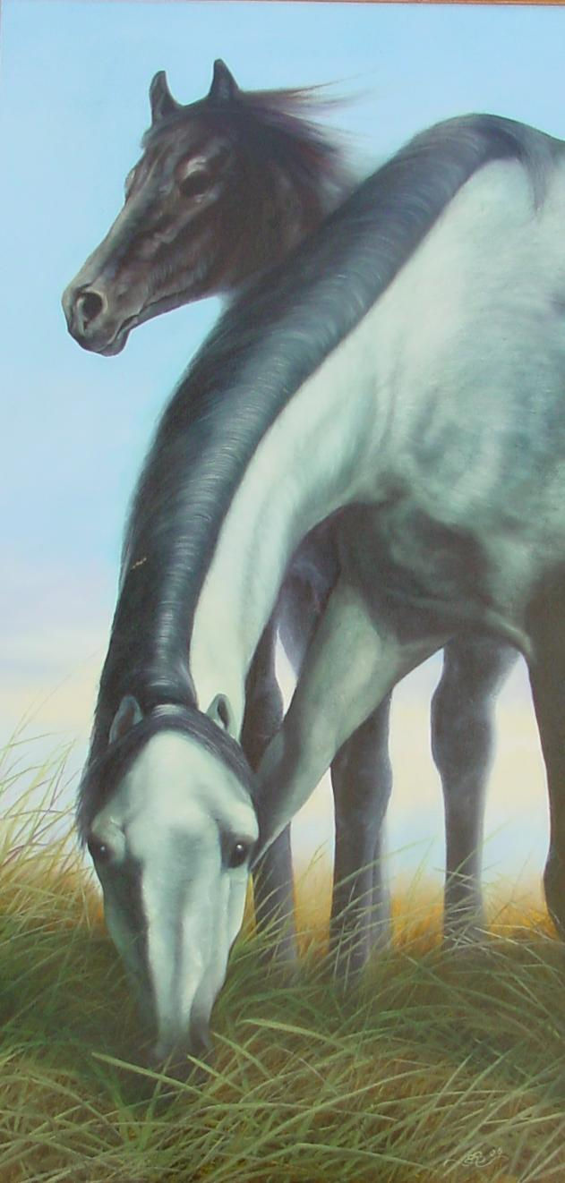Caballos