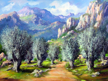 Oliveras