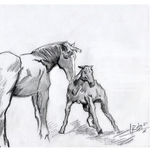obra