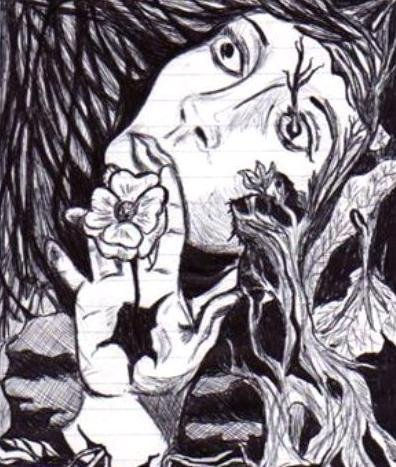 AMAPOLA(SURREALISMO)