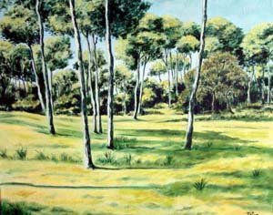 Pinar de Villamanrique Oil Canvas Landscaping