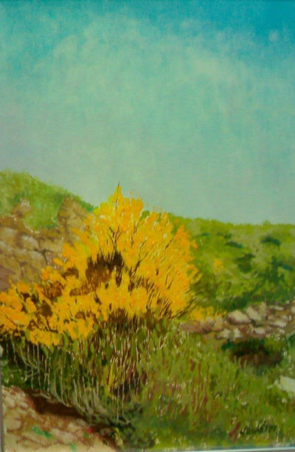 Campo Amarillo