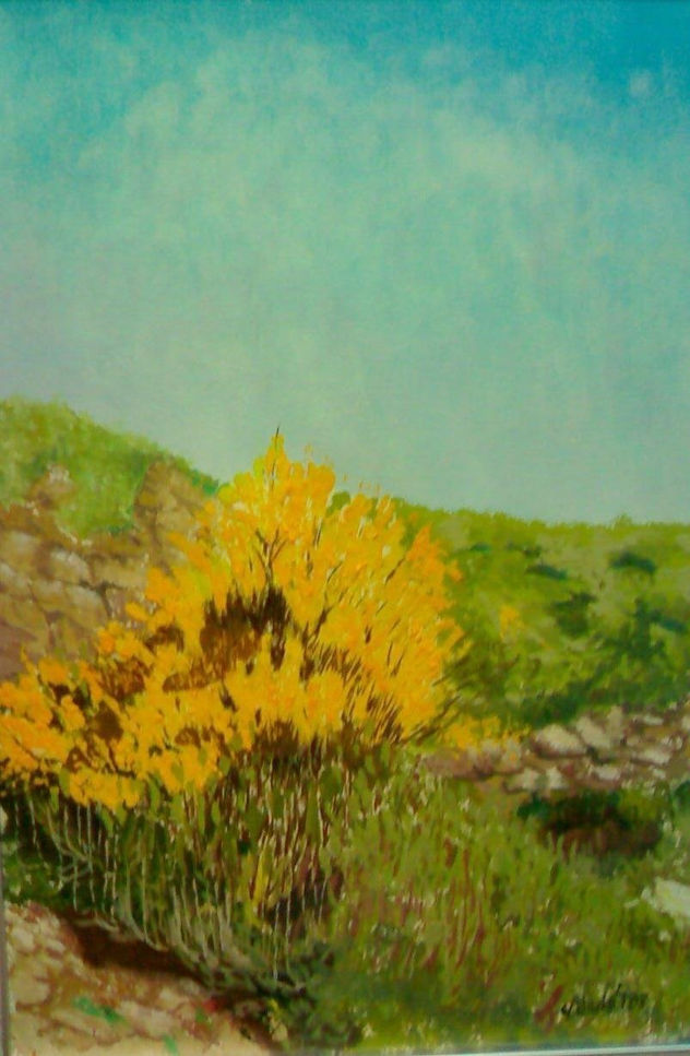 Campo Amarillo