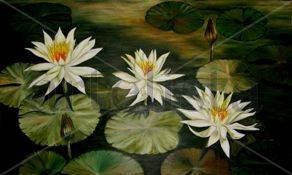 Flores