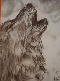 Lobo