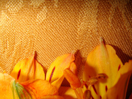 Rosas ambar