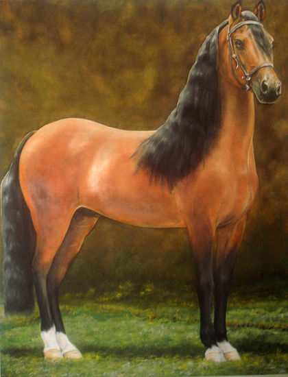 CABALLO DE TROCHA PURA COLOMBIANA 1 Oil Canvas Animals