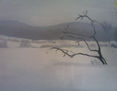 niebla