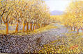 Primavera