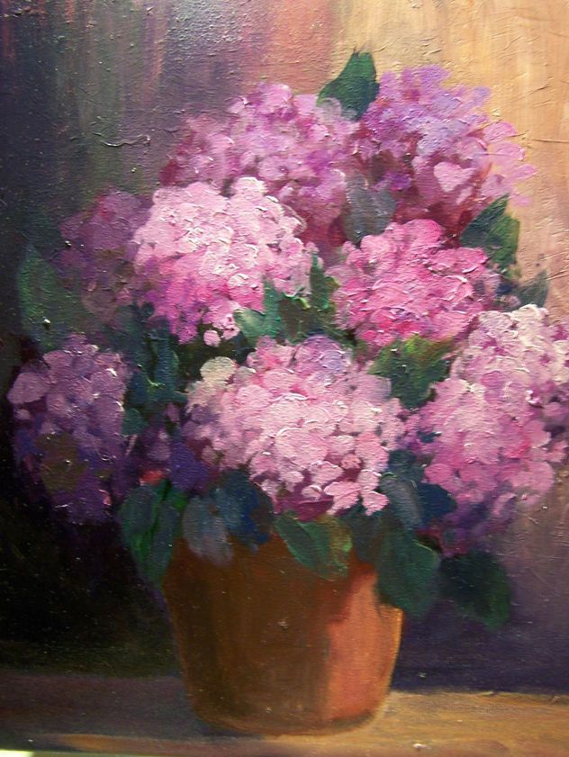 hortensias