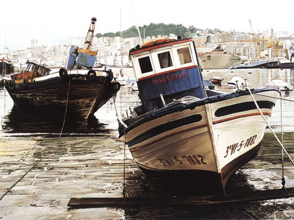 Vigo