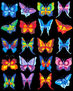 mariposas